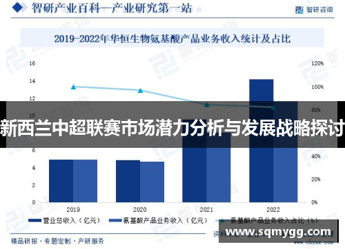 新西兰中超联赛市场潜力分析与发展战略探讨